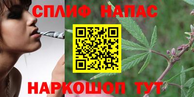 дмт Ливны