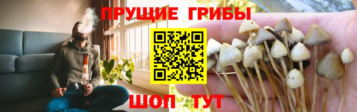 Тольятти  Псилоцибиновые грибы прущие грибы  Вход с VPN 
